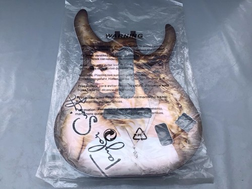 Guitar hero controller - guitar,